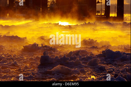 Smoe sorge dalle acque del fiume Elba durante il sunrise presso il porto di Amburgo, Germania, 05 febbraio 2012. Il tempo resta il pupazzo di neve dei prossimi giorni. Foto: Markus Tischler Foto Stock