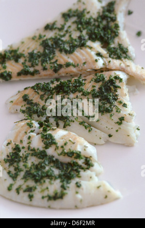 Filetti di rombo con burro e salsa di erbe Foto Stock