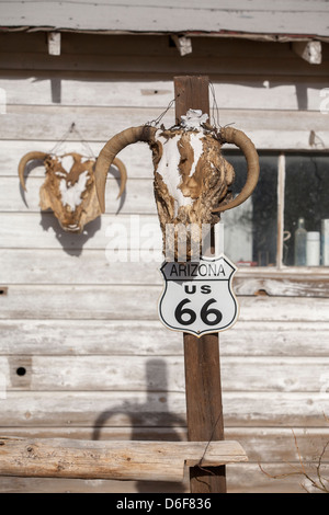 Un scull appeso su un palo, Route 66 in Hackberry, Arizona, Stati Uniti d'America Foto Stock