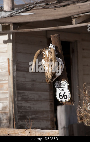 Un scull appeso su un palo, Route 66 in Hackberry, Arizona, Stati Uniti d'America Foto Stock