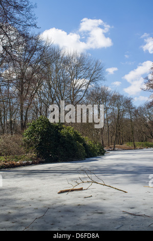 Il Tiergarten con fiume congelato. Foto Stock