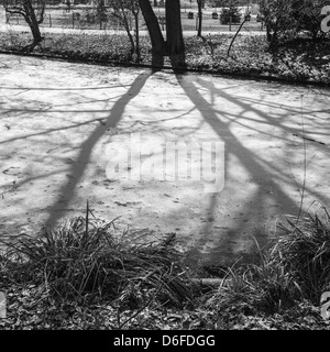 Il Tiergarten con fiume congelato. Foto Stock