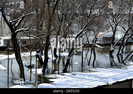 Il fiume Tisza bank presto inondazioni Szeged Ungheria Paesi CEE Foto Stock