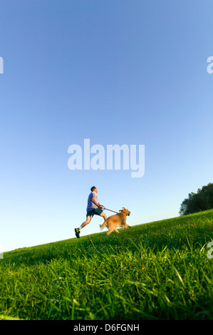 La mezza età uomo che corre su un campo erboso con un Golden Retriever cane. Foto Stock