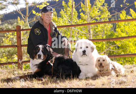 Senior ponendo l'uomo con i suoi tre formati - sostegno emotivo cani, compreso un Bovaro del Bernese e un grande Pirenei Foto Stock