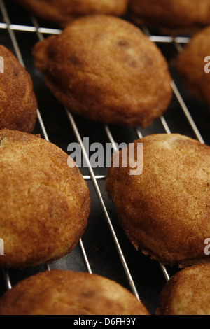 I biscotti al cioccolato a raffreddamento sul filo rack Foto Stock