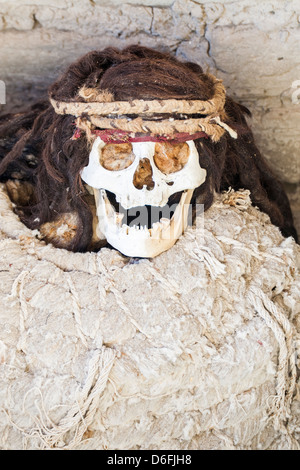 Mummia presso il Cimitero di Chauchilla (Cementerio de Chauchilla), scoperto nel 1920s. Foto Stock