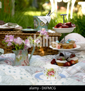 Pic-nic Foto Stock
