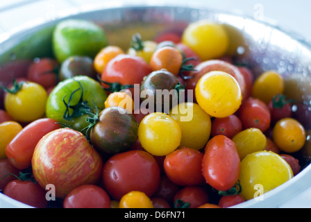 Pomodoro varietà miste Foto Stock