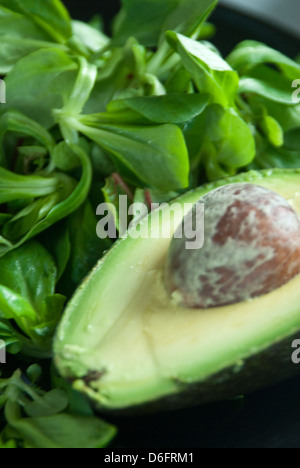 Avocado Foto Stock