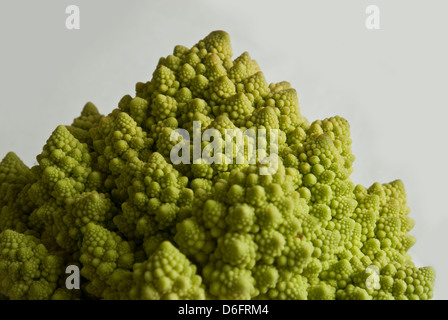 Romanesco broccoli Foto Stock