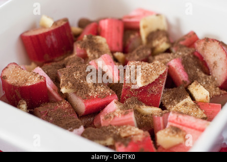 Rabarbaro brulee - passo shot - gli ingredienti in una teglia da forno Foto Stock