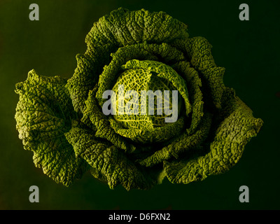 Cavolo Foto Stock