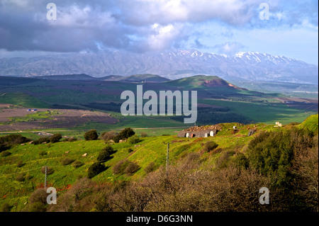 Monte Avital e Monte Bental Riserva Naturale, Golan Heights, Israele migliori sentieri escursionistici nelle alture del Golan, Israele. Foto Stock