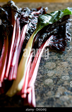 Bietola da coste svizzera rossa Foto Stock