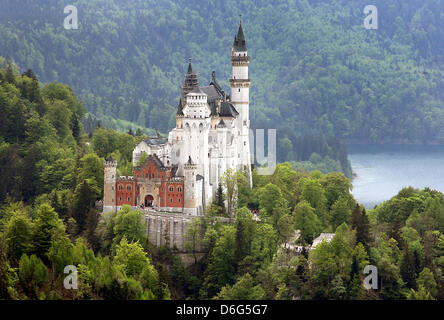 (Dpa-file) - Un file immagine datata 11 maggio 2009 mostra il castello di Neuschwanstein vicino a Füssen, Germania. Molte persone amano viaggiare in Germania. Uno dei più polular siti turistici in Germania è di Neuschwanstein. Foto: Karl-Josef Hildenbrand Foto Stock