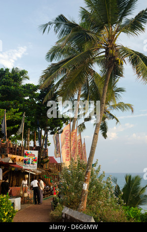 Una di palme e costa in Varkala, India Foto Stock