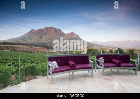 Il ristorante elegante ia a vigneti di Stellenbosch, Western Cape, Sud Africa. Simonsberg mountain range come sfondo. Negli ultimi Foto Stock