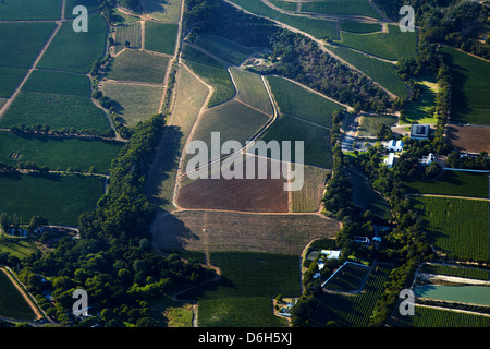 Vigneti, Constantia, Cape Town, Sud Africa - aerial Foto Stock