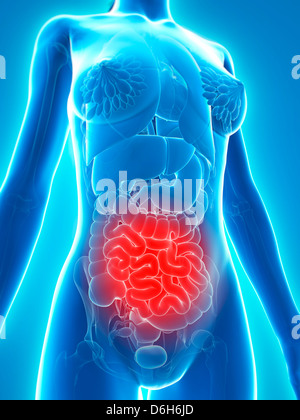 Dolore addominale, opere d'arte concettuale Foto Stock