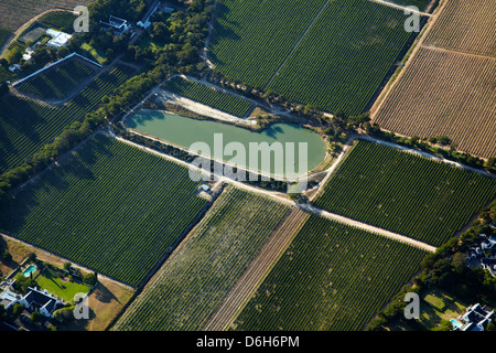 Vigneti, Constantia, Cape Town, Sud Africa - aerial Foto Stock