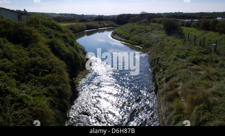 Fiume che scorre attraverso i campi e dalla luce del sole, in Normandia, Francia Foto Stock