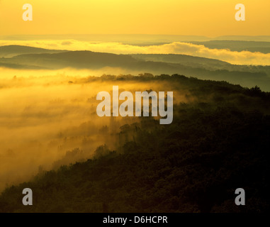 Alba vista di foggy rolling campagna della Pennsylvania dalla montagna di Flagstaff, vicino a Jim Thorpe & Lehigh River Foto Stock