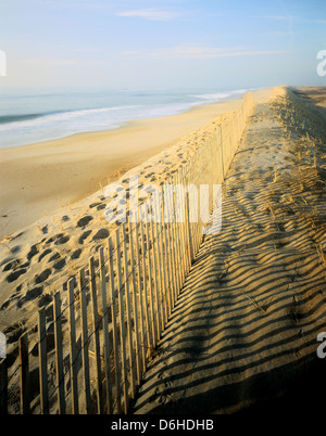 Assateague Beach, Assateague Island National Seashore, Virginia, Stati Uniti d'America Foto Stock