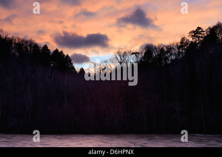 Tramonto e stagliano alberi su Cumberland River in Cumberland Falls State Park Foto Stock