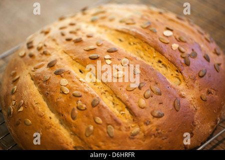 Pane fatto in casa con i semi di zucca dolce da forno Foto Stock