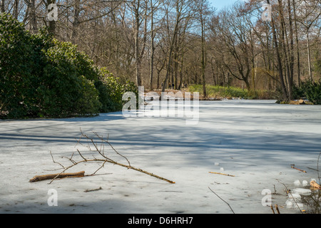 Berlinese famosi Tiergarten park area Foto Stock