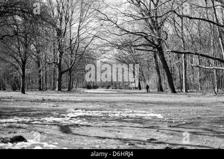 Berlinese famosi Tiergarten park area Foto Stock