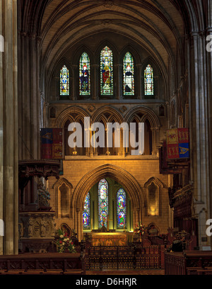 Dublino, Irlanda. Cattedrale della Beata Vergine Maria e di San Patrizio (aka la cattedrale di san Patrizio). Foto Stock