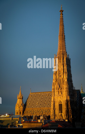 Il Duomo di Santo Stefano a Vienna Foto Stock