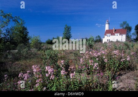 Tawas Point Lighthouse e fiori di campo sul Lago Huron in Iosco County, Michigan Foto Stock