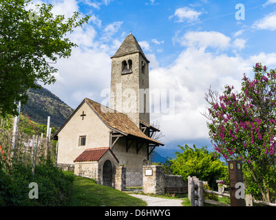 Alto Adige - Italia La romanica chiesa di Sankt Procolo (San S. Procolo) vicino a Naturno (naturno) in Val Venosta (Val Venosta). Foto Stock