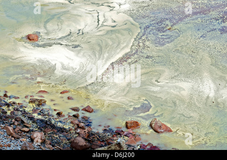 Il polline sull'acqua a riva. Foto Stock