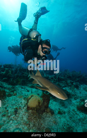Incontri ravvicinati con lo squalo nutrice su G Spot Reef, Turks e Caicos, West Indies, dei Caraibi e America centrale Foto Stock