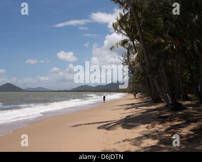 Spiaggia di Palm Cove, Cairns, North Queensland, Australia Pacific Foto Stock