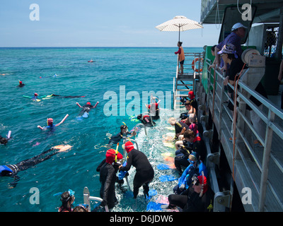 La gente lo snorkeling sulla Grande Barriera Corallina vicino a Cairns, North Queensland, Australia Pacific Foto Stock