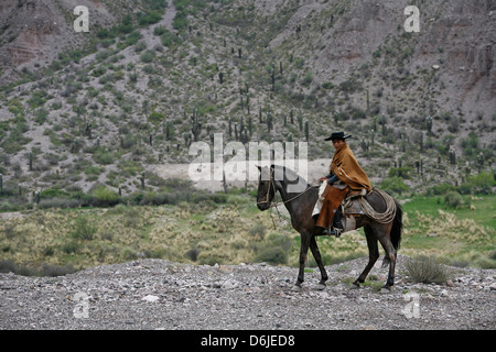 Northern gaucho a cavallo vicino a Purmamarca, Quebrada de Humahuaca, provincia di Jujuy, Argentina, Sud America Foto Stock