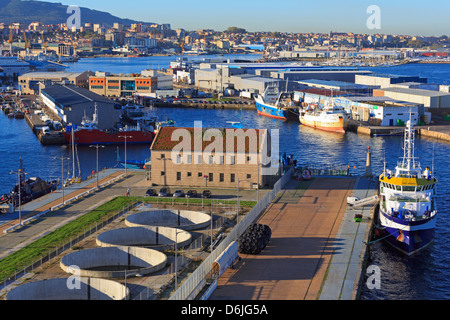 Barche da pesca nel porto di Vigo, Galizia, Spagna, Europa Foto Stock