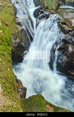 Le cascate del fiume Avon a monte del ponte di Shipley nel Parco Nazionale di Dartmoor, Devon Foto Stock