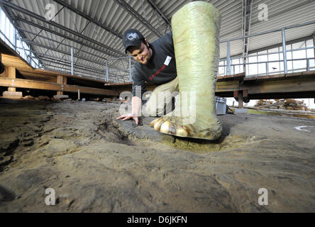 Nils Knoetschke, direttore scientifico del Dinopark, pone con un modello di piede di un Sauropod accanto a un scavato footprint di un lungo collo sauropod presso il museo a cielo aperto in Muenchehagen, Germania, 21 marzo 2012. Circa trenta anni dopo la scoperta delle prime tracce di a collo lungo piste sauropod in Muenchehagen, nuove stampe hanno scoperto che sono 142 milioni di anni. Pho Foto Stock