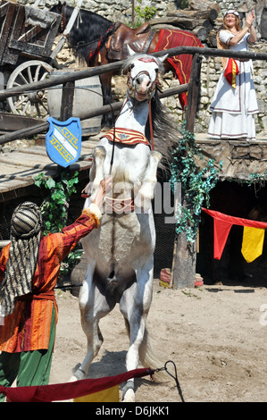 Cavallo medievale e il display mostra - La leggenda dei Cavalieri' a Provins town, a sud di Parigi, Francia. Foto Stock