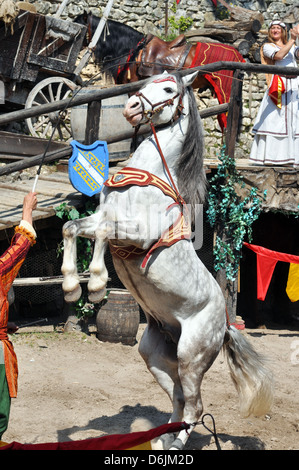Un cavallo che alleva fino sulle zampe posteriori a un cavallo medievale e il display mostra - La leggenda dei Cavalieri' a Provins town, Francia. Foto Stock