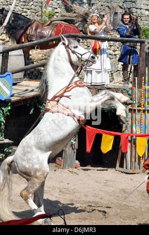 Un cavallo che alleva fino sulle zampe posteriori a un cavallo medievale e il display mostra - La leggenda dei Cavalieri' a Provins town, Francia. Foto Stock