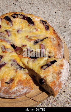 Formaggi italiani e la cipolla rossa pane focaccia. Foto Stock