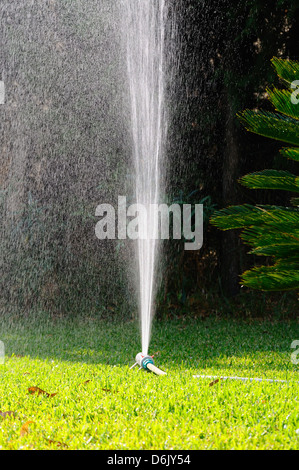 Oscillante irroratore giardino mediterraneo su erba, Calahonda, Costa del Sol, Andalusia, Spagna, Europa occidentale. Foto Stock