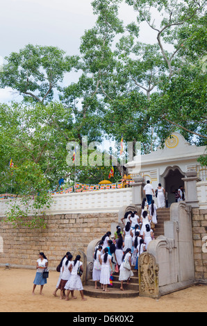 Pellegrini buddista, Sri Maha Bodhi, Sito Patrimonio Mondiale dell'UNESCO, Anuradhapura, Nord provincia centrale, Sri Lanka Foto Stock